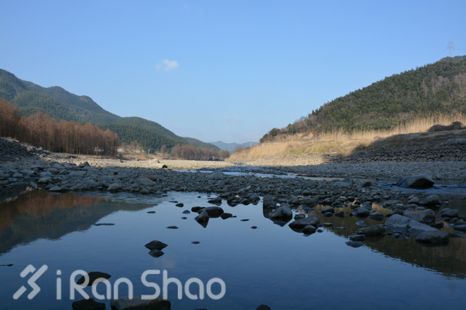 宁波樱花女子半程马拉松路线探秘
