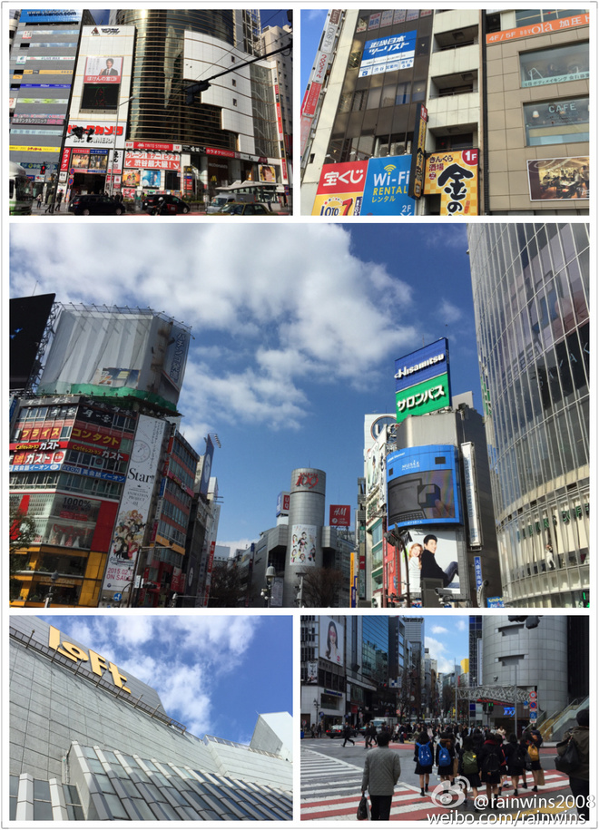 春节日本双马行记