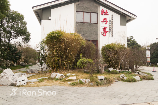 探路报告｜苏州半马，弯弯弯让你难忘，桥桥桥给你好瞧