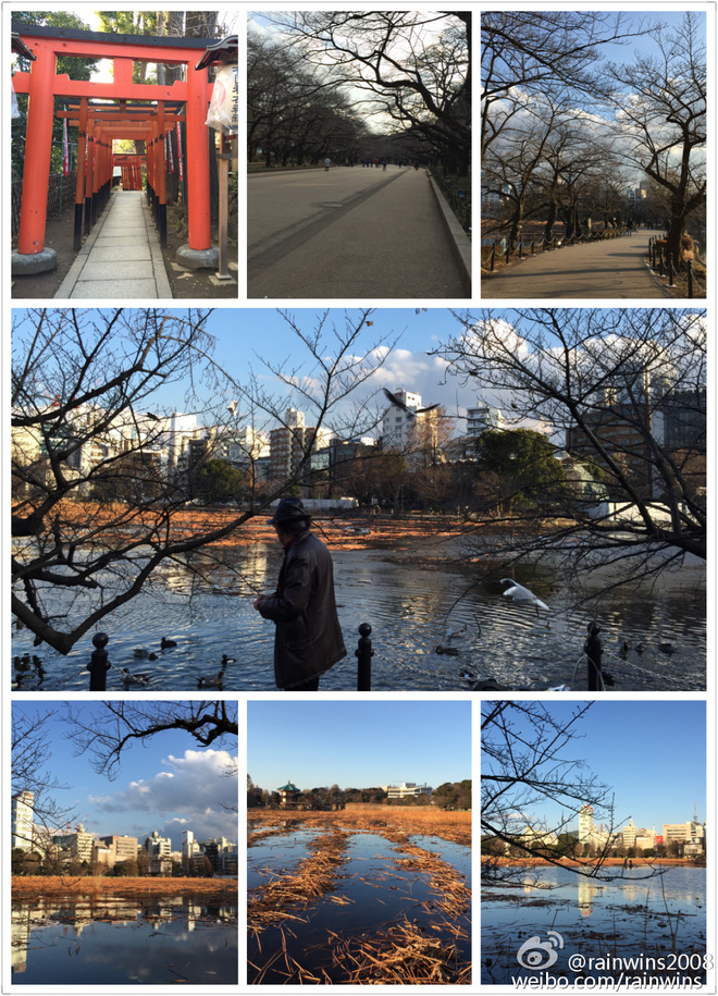 春节日本双马行记