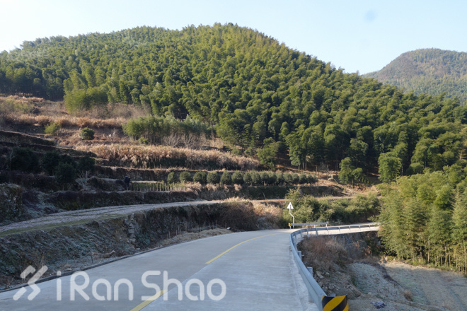 宁波樱花女子半程马拉松路线探秘
