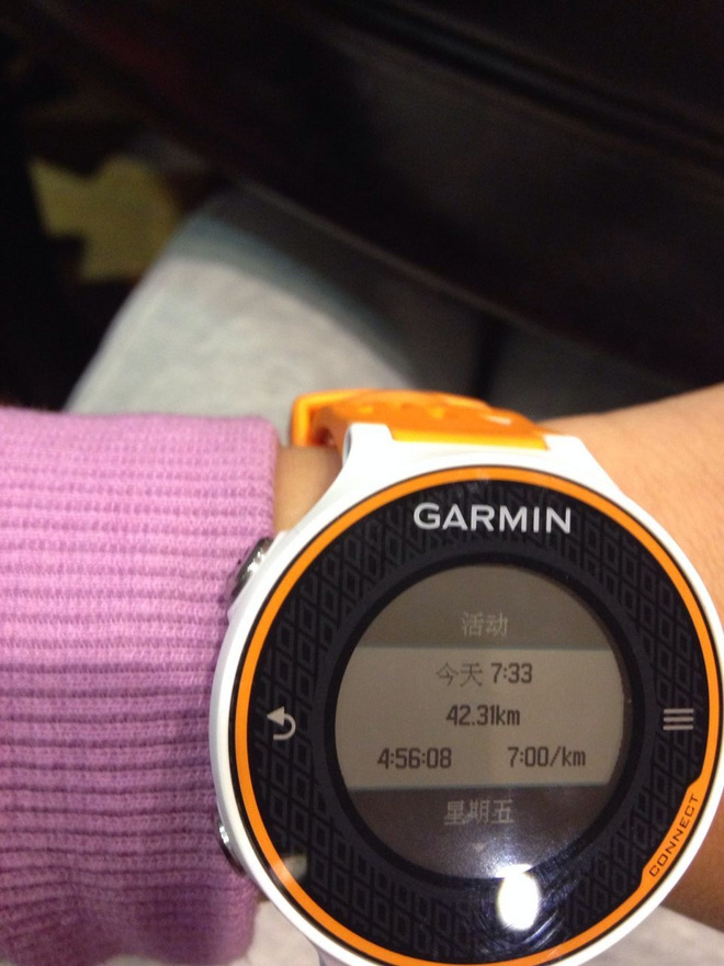 我的首马－－自己顾自己