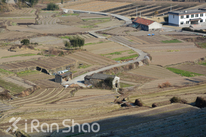 宁波樱花女子半程马拉松路线探秘