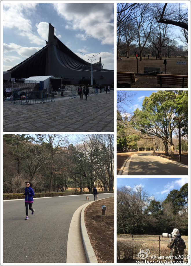 春节日本双马行记