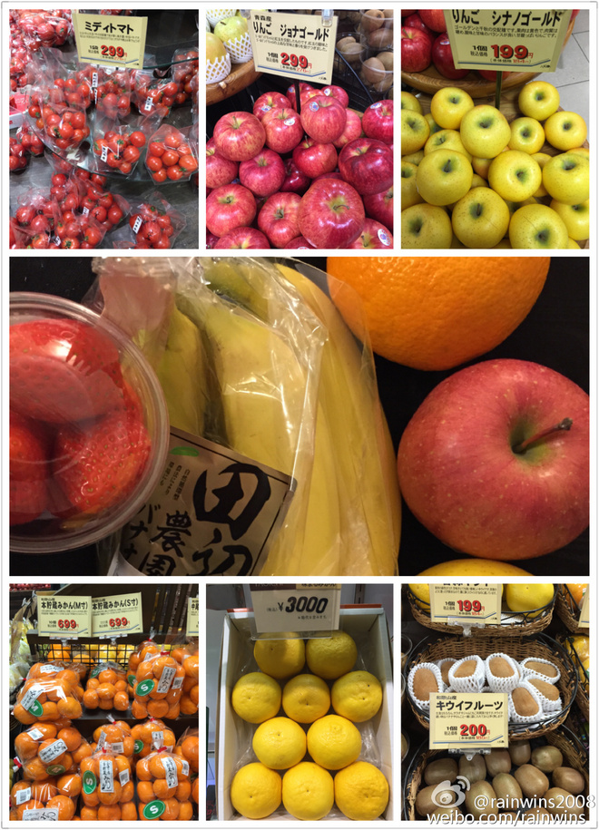 春节日本双马行记