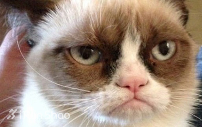 不扯淡新闻 |  为何我不带着手机跑步？