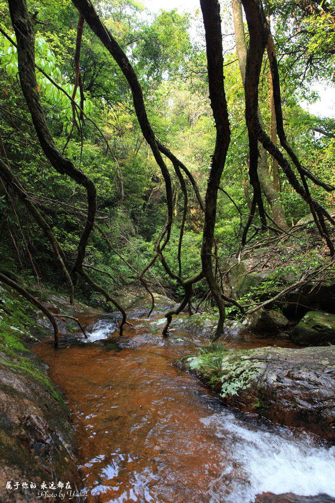 开化美食美景篇