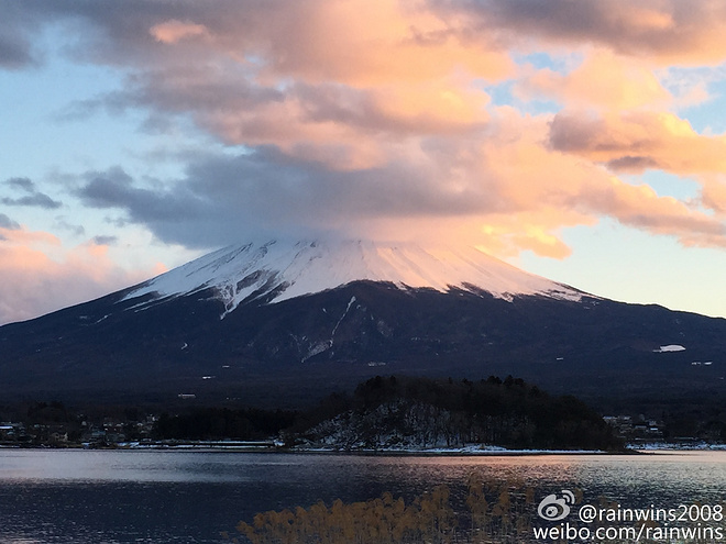 春节日本双马行记