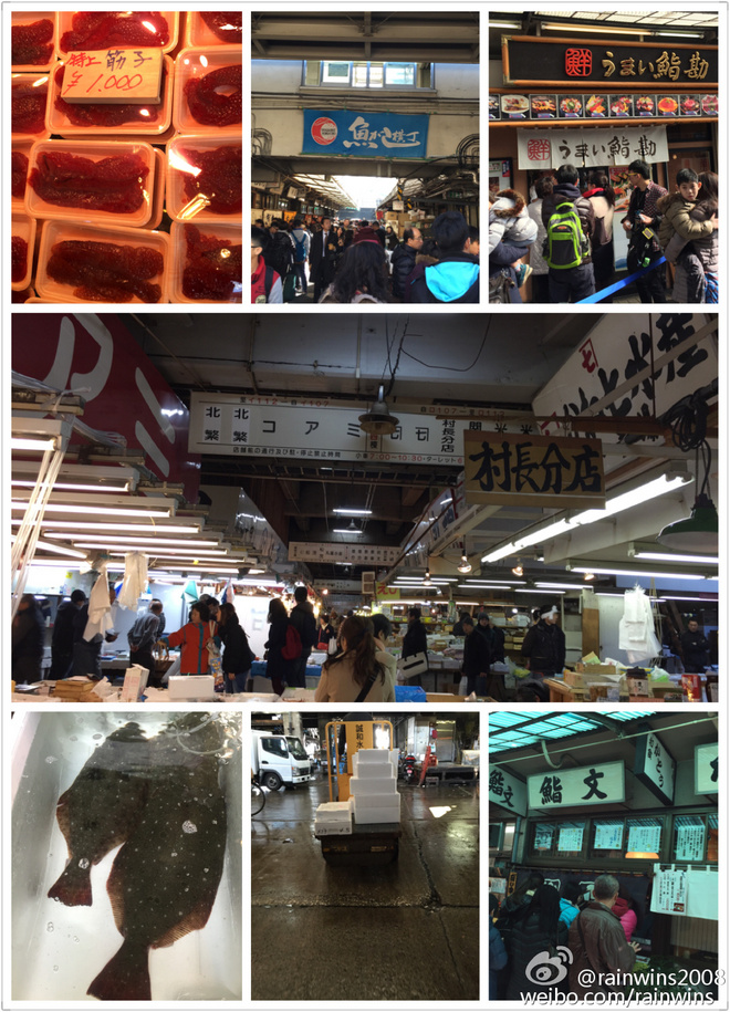 春节日本双马行记