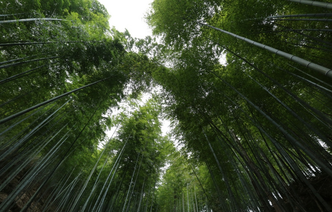 ​假如爱有天意，带我到括苍之巅