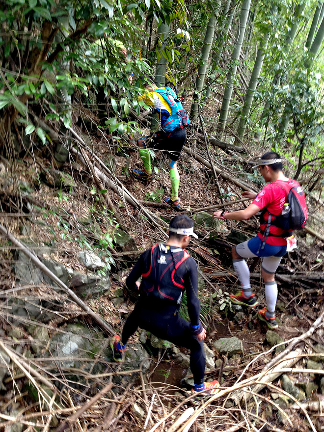 括苍之巅的爱恨情仇