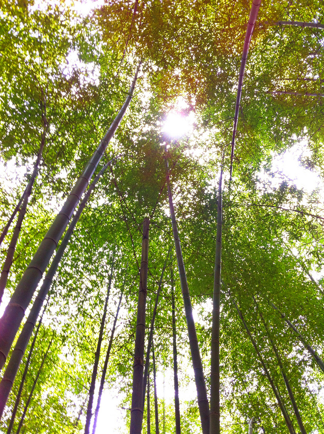 出离城市，寻归荒野——跑马痴汉的括苍山越野赛散记