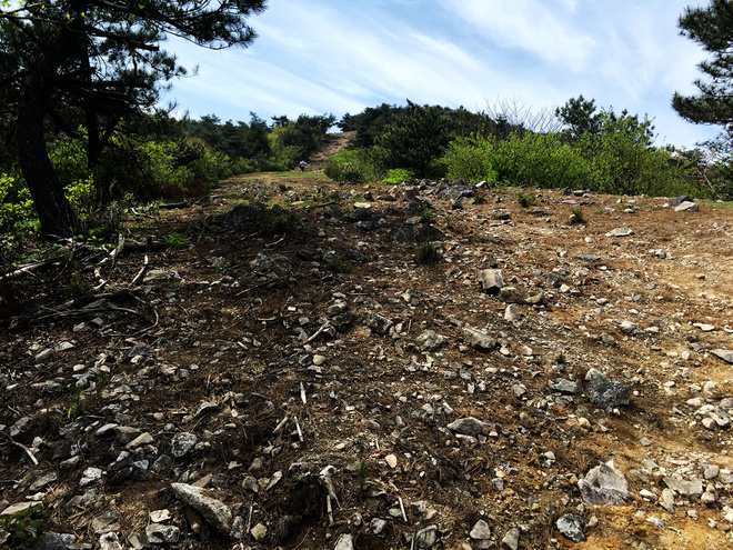 痛并快乐着-柴古唐斯plus 带伤跑记‏