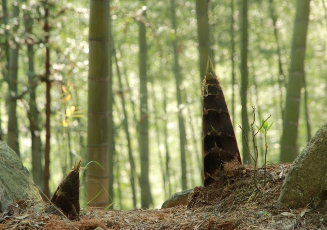 出离城市，寻归荒野——跑马痴汉的括苍山越野赛散记