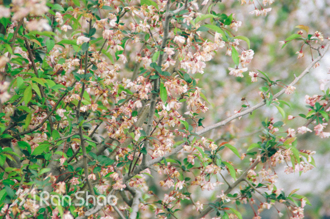 经验 | 穿了冬装穿夏装 春季马拉松穿何是好？