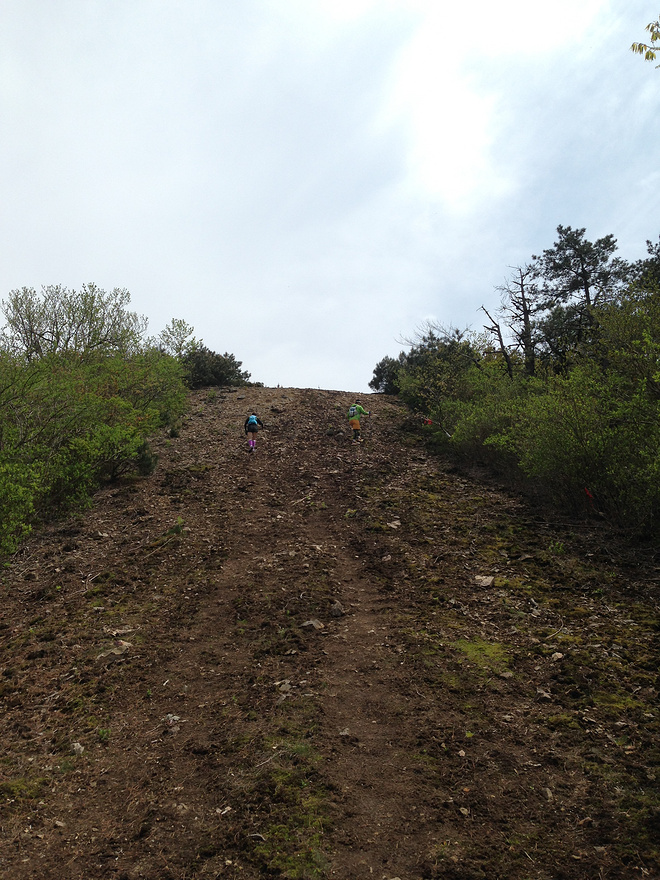 这才是真的"野"！我的第一次退赛