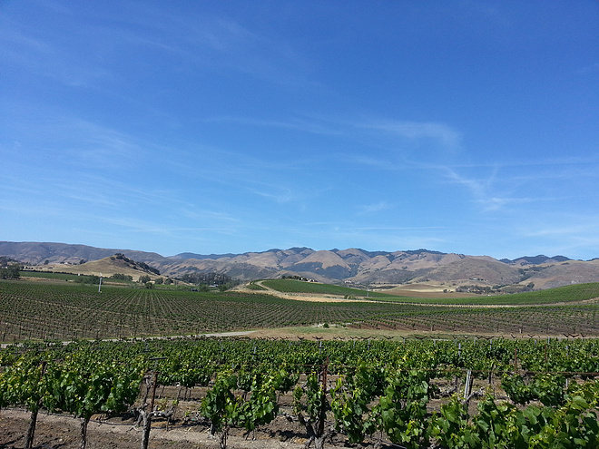 我的美国跑步日记（7）SLO马拉松 small town， big race