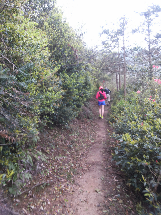 其实很自然 其实并不难 ------ 2015【柴古唐斯PLUS】记