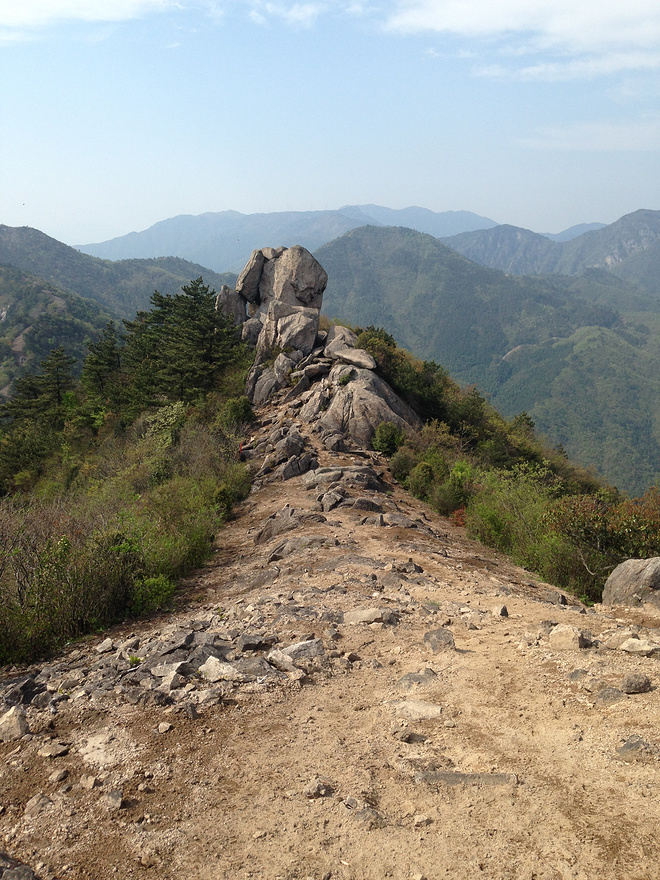 这才是真的"野"！我的第一次退赛