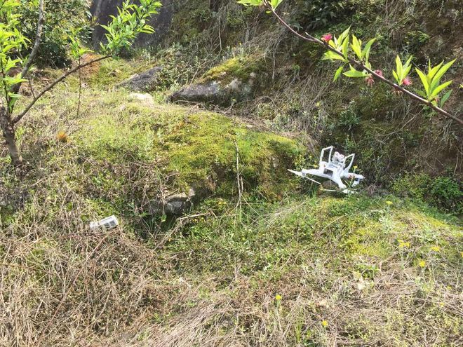 只为你来欢乐的蹦跶无后顾之忧--志愿者日记