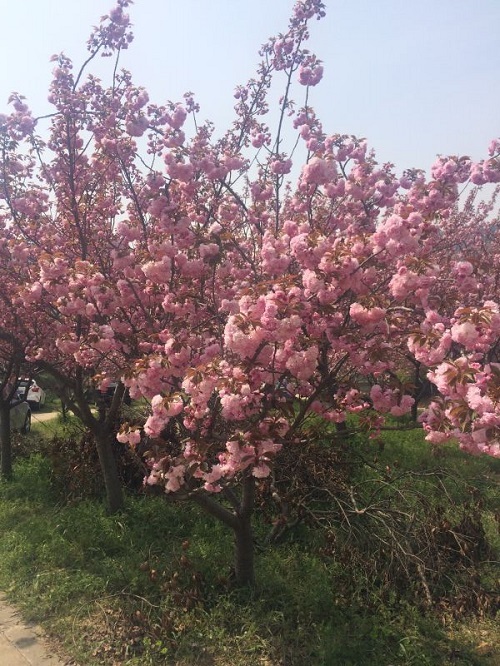 我的越野初体验