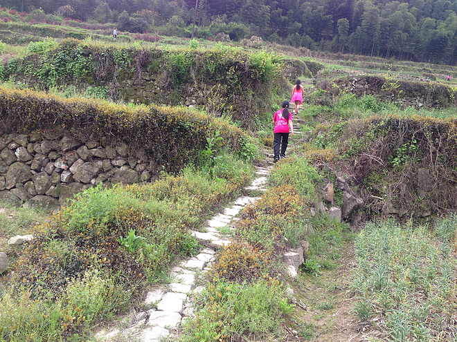像樱花一样小而美