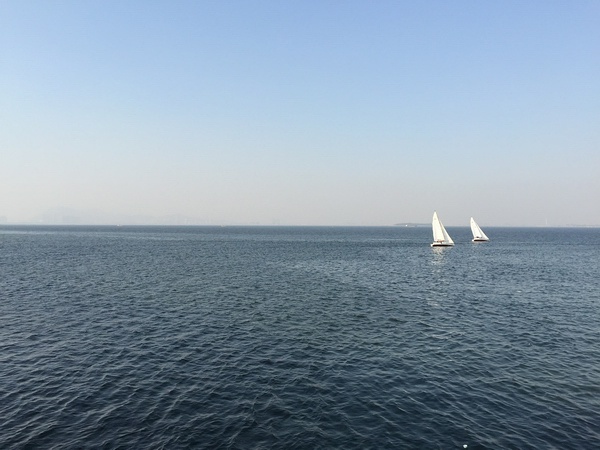 上升的一切必将汇合——2015年厦门马拉松小结