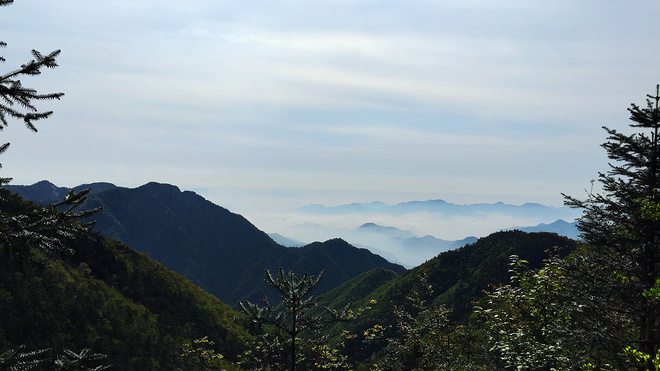 痛并快乐着-柴古唐斯plus 带伤跑记‏