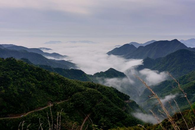 柴古唐斯PLUS赛记