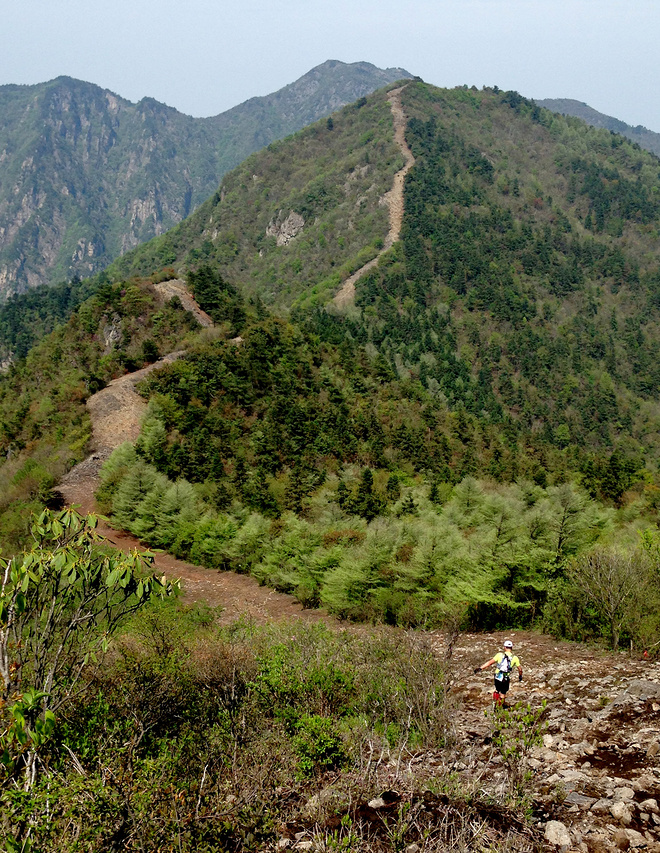 括苍之巅的爱恨情仇