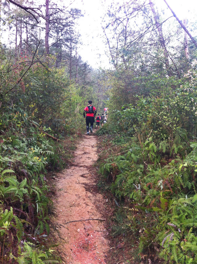 出离城市，寻归荒野——跑马痴汉的括苍山越野赛散记