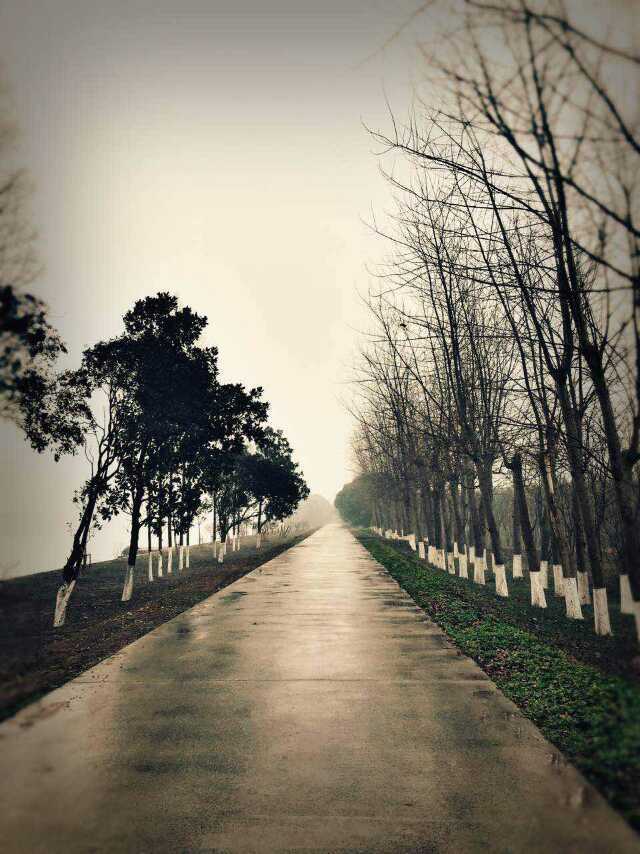 跑步，遇见美好的自己