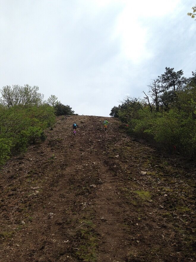 谁能凭爱意要括苍山私有——记柴古唐斯Plus初野之行