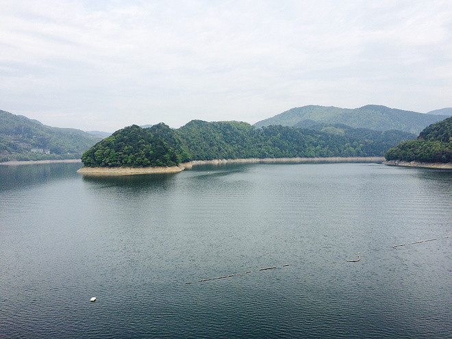 像樱花一样小而美