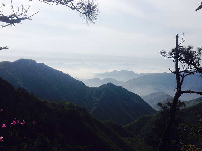 风景太美，迈不开腿