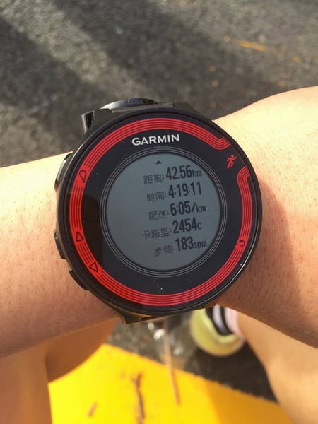 上升的一切必将汇合——2015年厦门马拉松小结