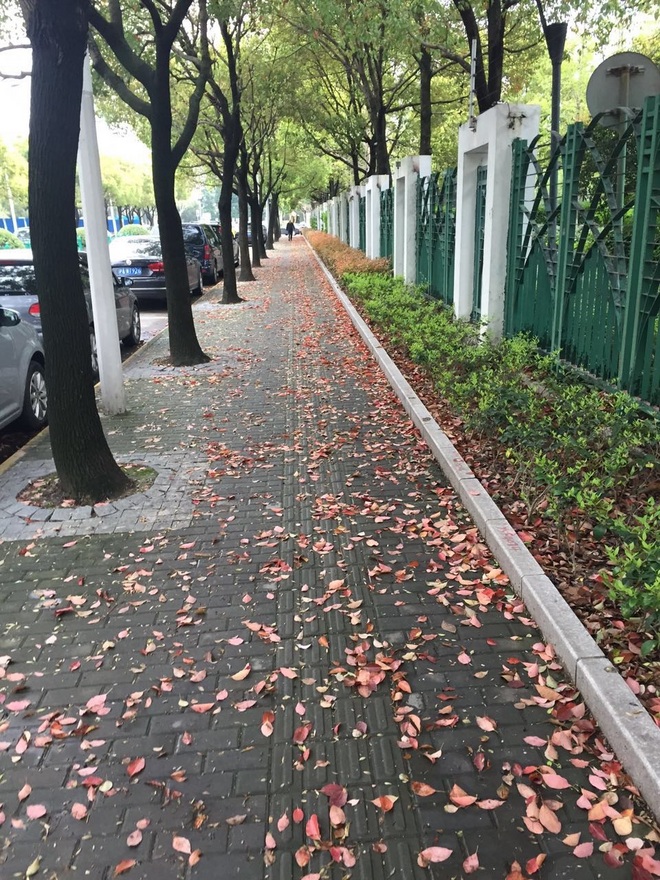 10K故事 | 10k？遥远的未来，可触摸的现在