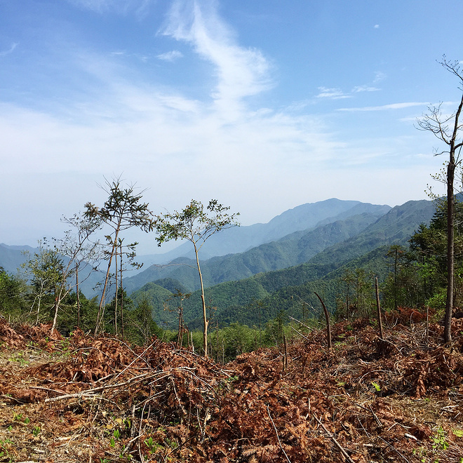 穿山越岭，括苍之美