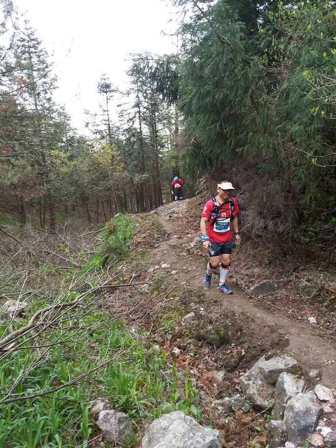 其实很自然 其实并不难 ------ 2015【柴古唐斯PLUS】记