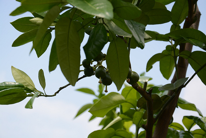 朱子很忙，我也很忙，忙里话闲山村跑