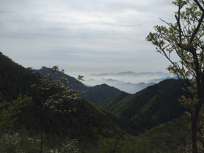 用14小时59分59秒，登上括苍之巅