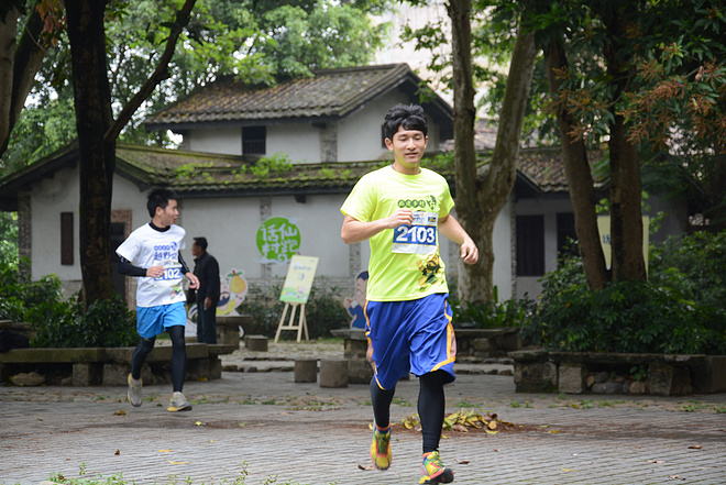 朱子很忙，我也很忙，忙里话闲山村跑