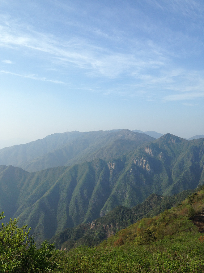 这才是真的"野"！我的第一次退赛