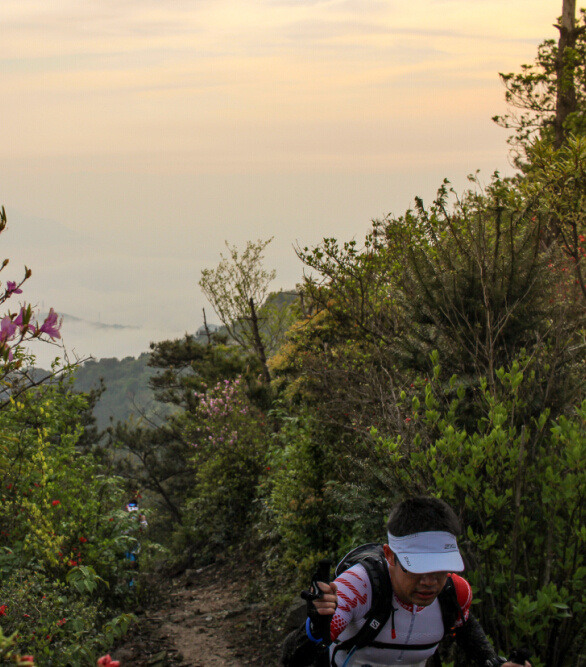 ​柴古唐斯——“揍你一顿”的虐与美