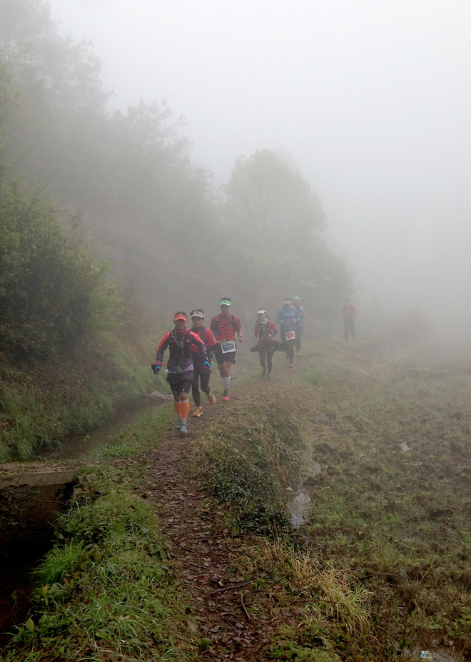 括苍之巅的爱恨情仇