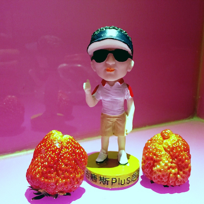 痛并快乐着-柴古唐斯plus 带伤跑记‏