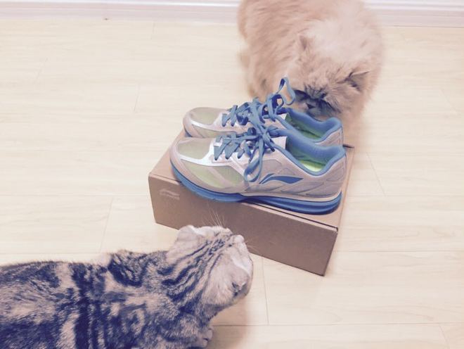 10K故事 | 我的路跑从李宁10K开始