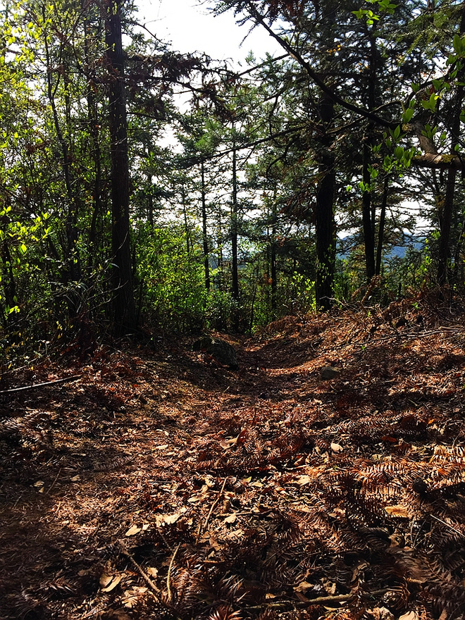 痛并快乐着-柴古唐斯plus 带伤跑记‏