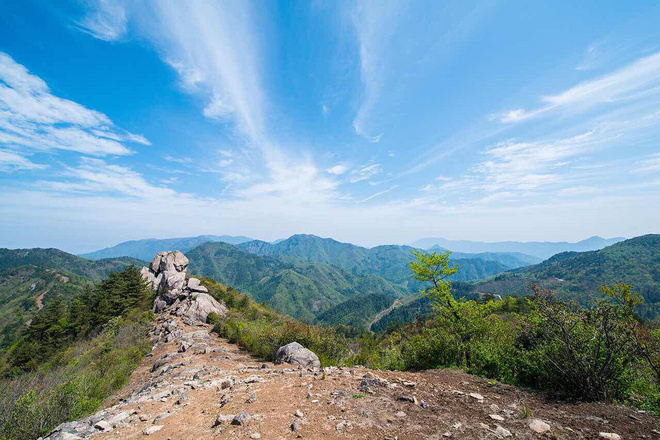 ​柴古唐斯——“揍你一顿”的虐与美