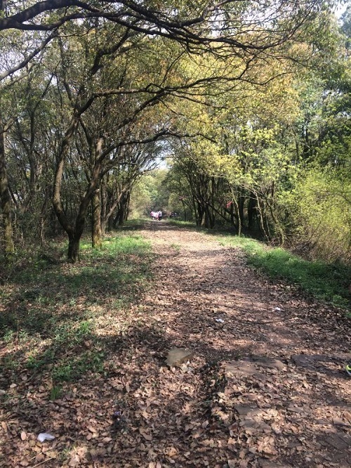 我的越野初体验